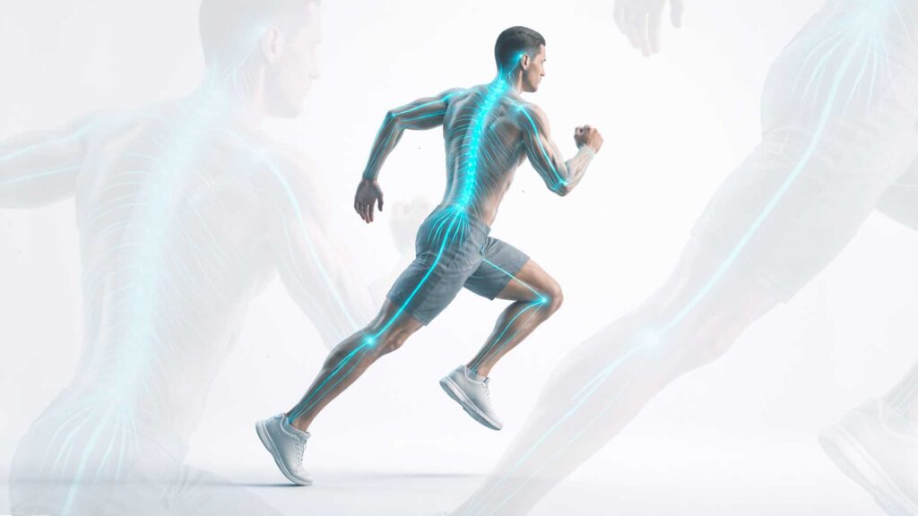 Ilustración 3D de un atleta resaltando la columna vertebral y el sistema nervioso como centro de control.