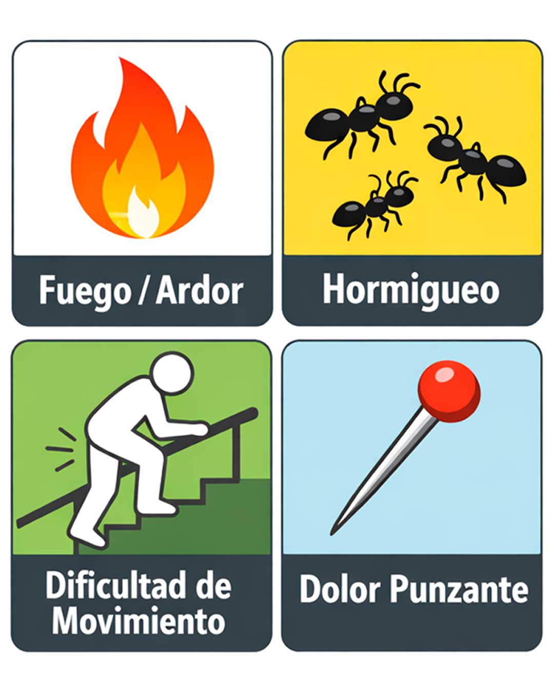 Infografía de los 4 síntomas principales de la irritación del nervio ciático: ardor, hormigueo y dolor punzante.